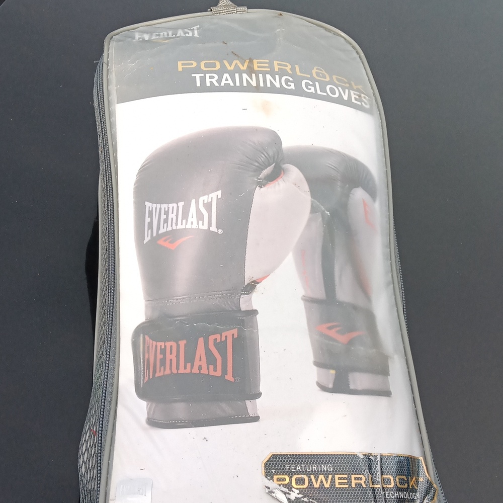 Everlast boxing gloves